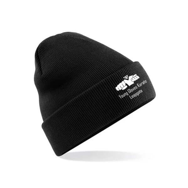 Young Gloves Leapgate Beanie Hat Thumbnail